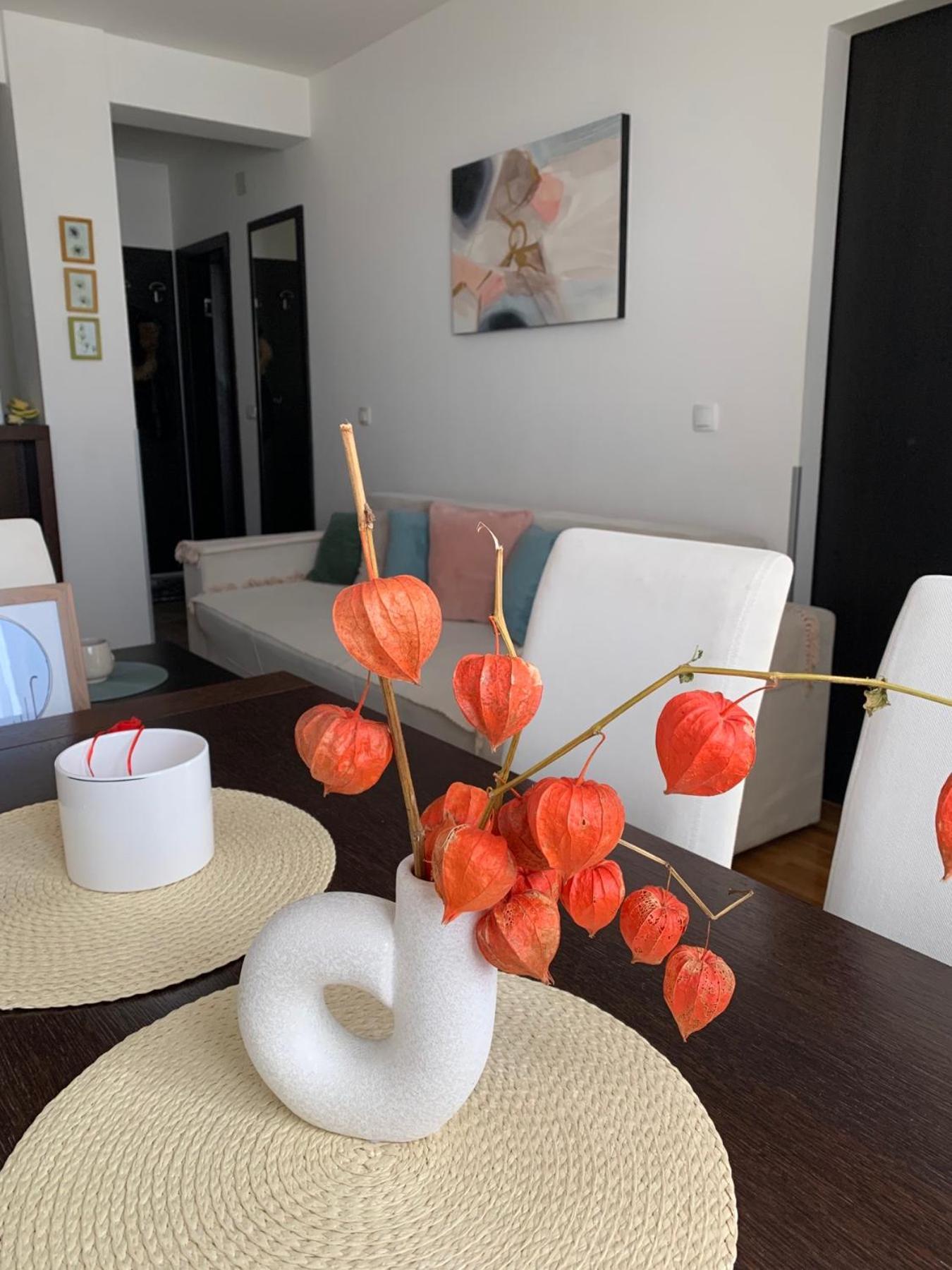 Beli Apartman U Zlatiborskim Konacima Bele Vode Bb Экстерьер фото